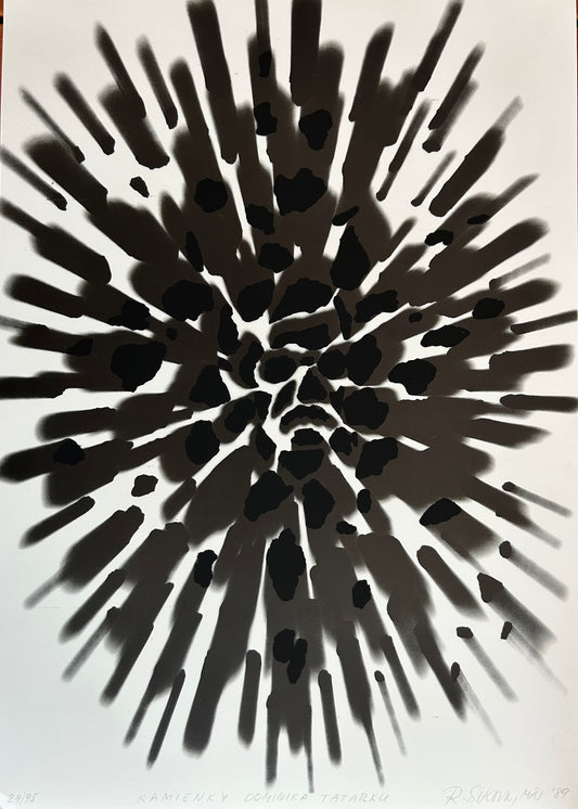 Kamienky Dominika Tatarku - ArtProfit