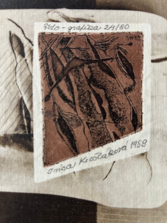 Foto-grafika